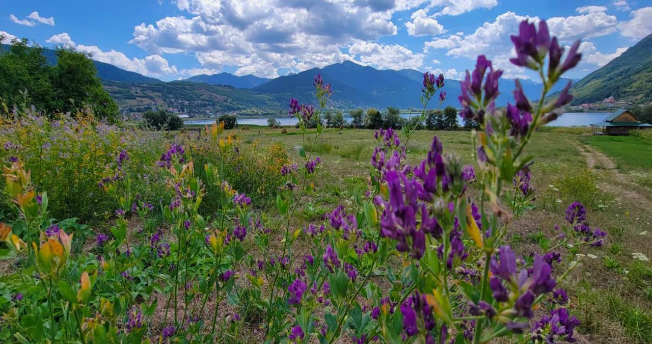 Lakeside Camping Plav Dış mekan fotoğraf